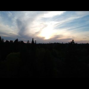 Meet your Posher, Anne